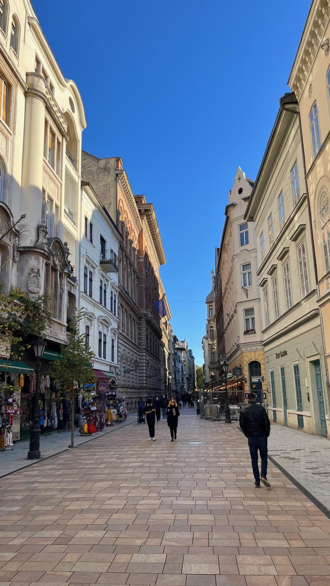 Lejlighed Mirage Vaci Street Budapest